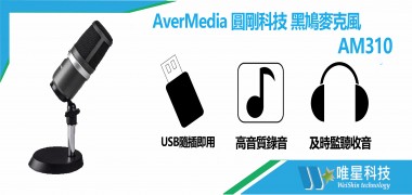 圓剛AverMedia  黑鳩高音質USB麥克風  | AM310 |