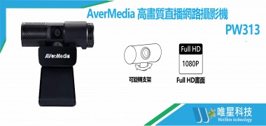 AverMedia圓剛 高畫質直播網路攝影機 | PW313 | 