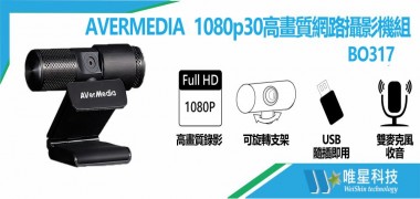 AVERMEDIA BO317 1080p30高畫質網路攝影機組